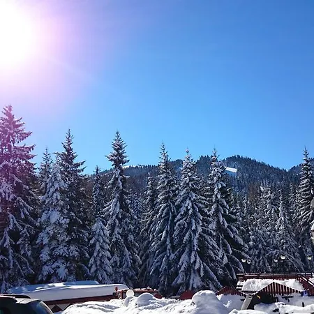 Tes Rila Park 보로베츠