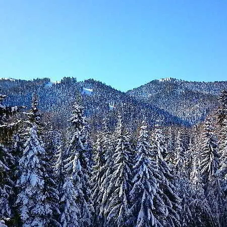 Tes Rila Park Apartamento Borovets